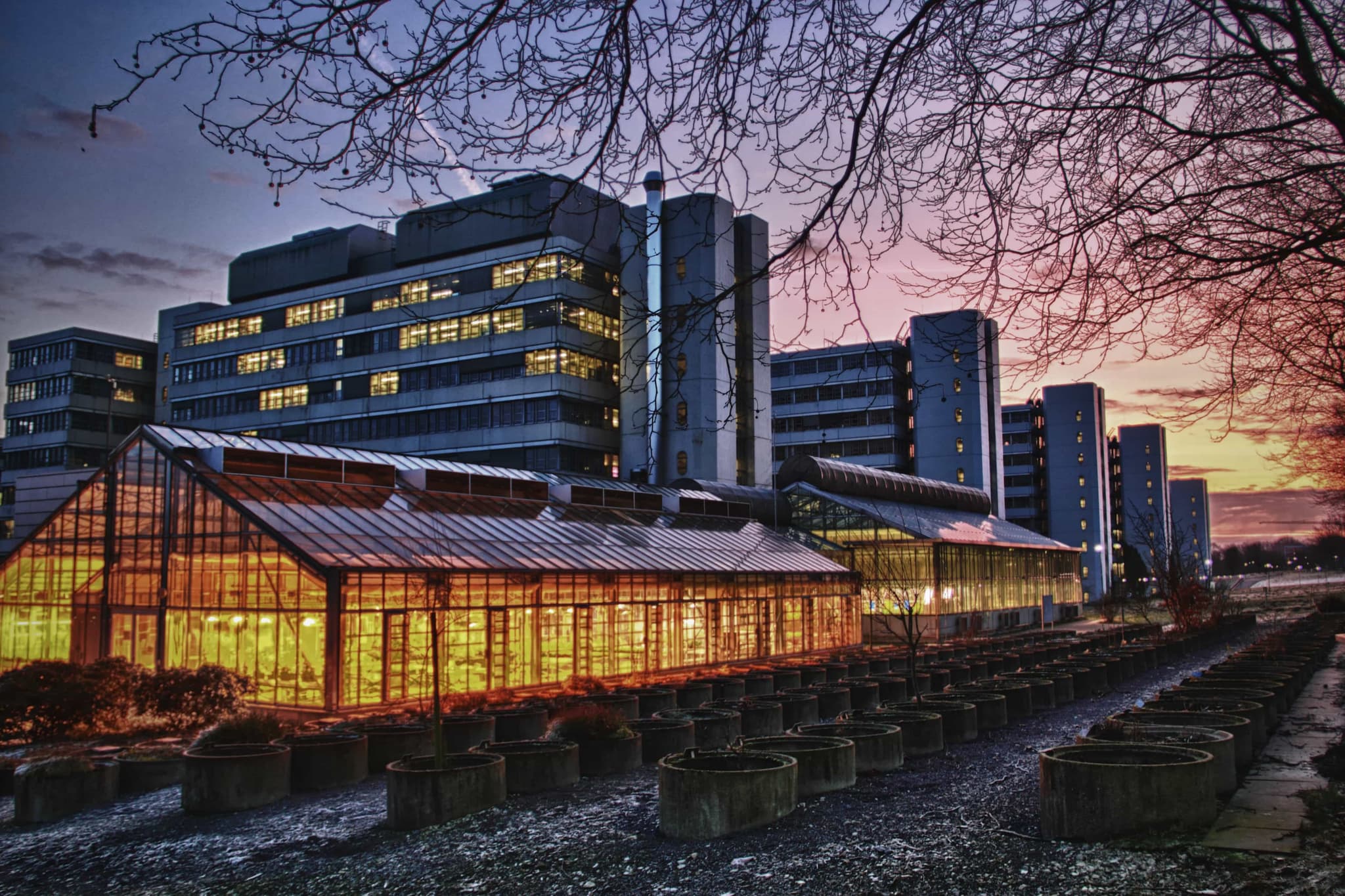 Bielefeld University