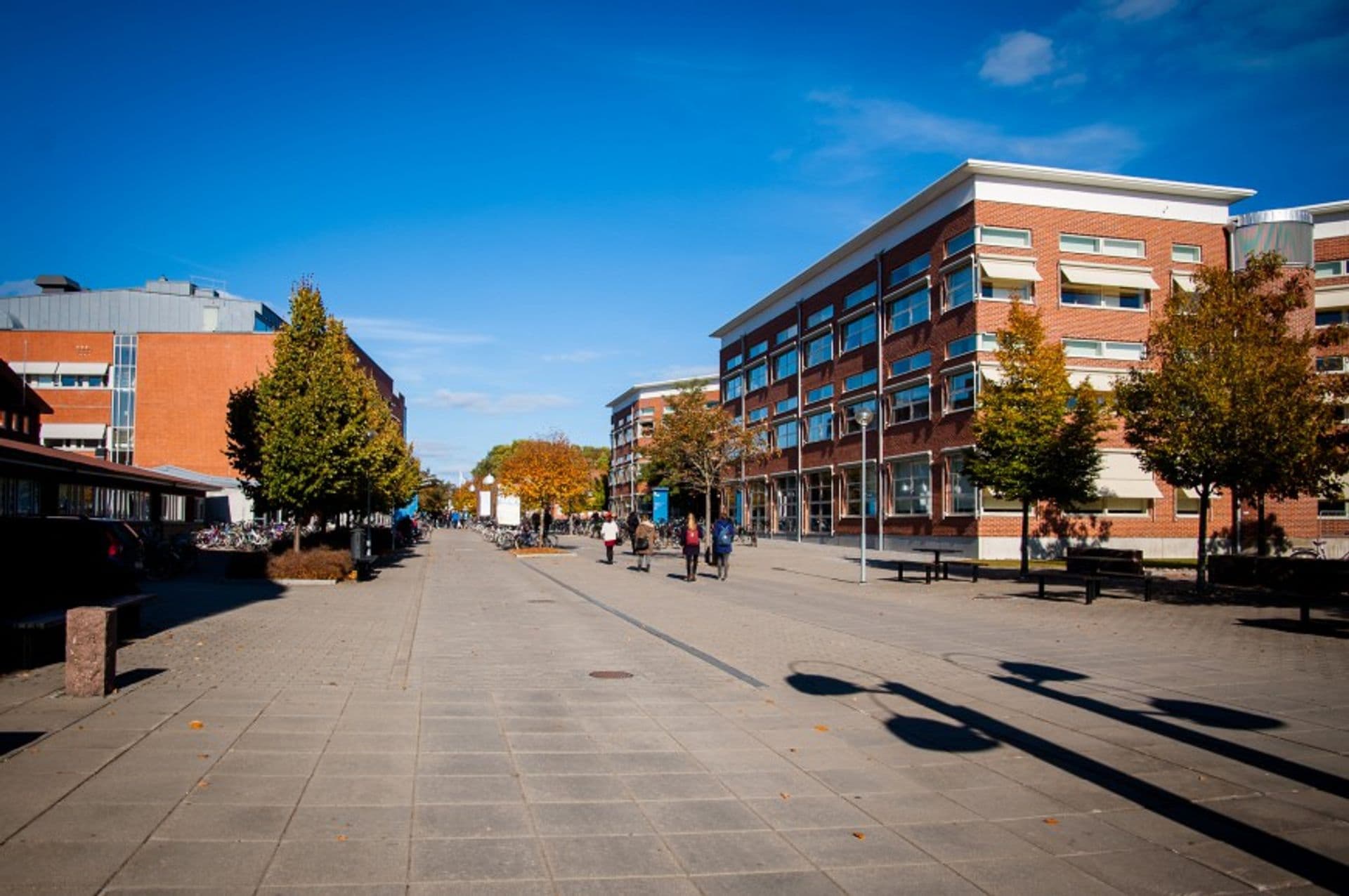 Linköping University
