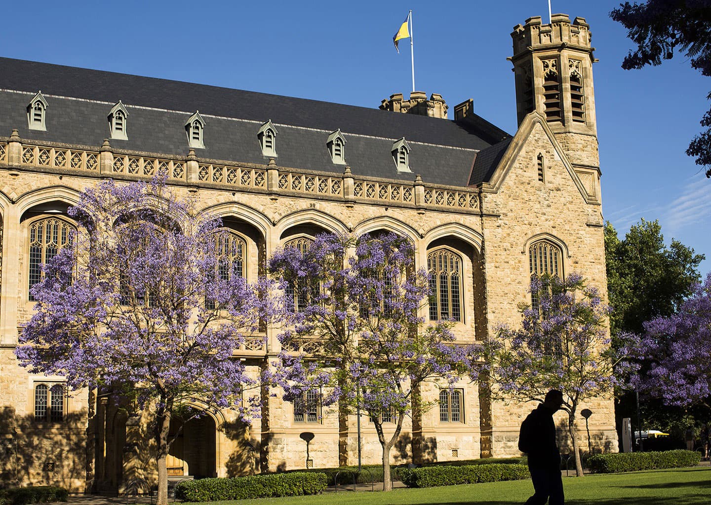 University of Adelaide