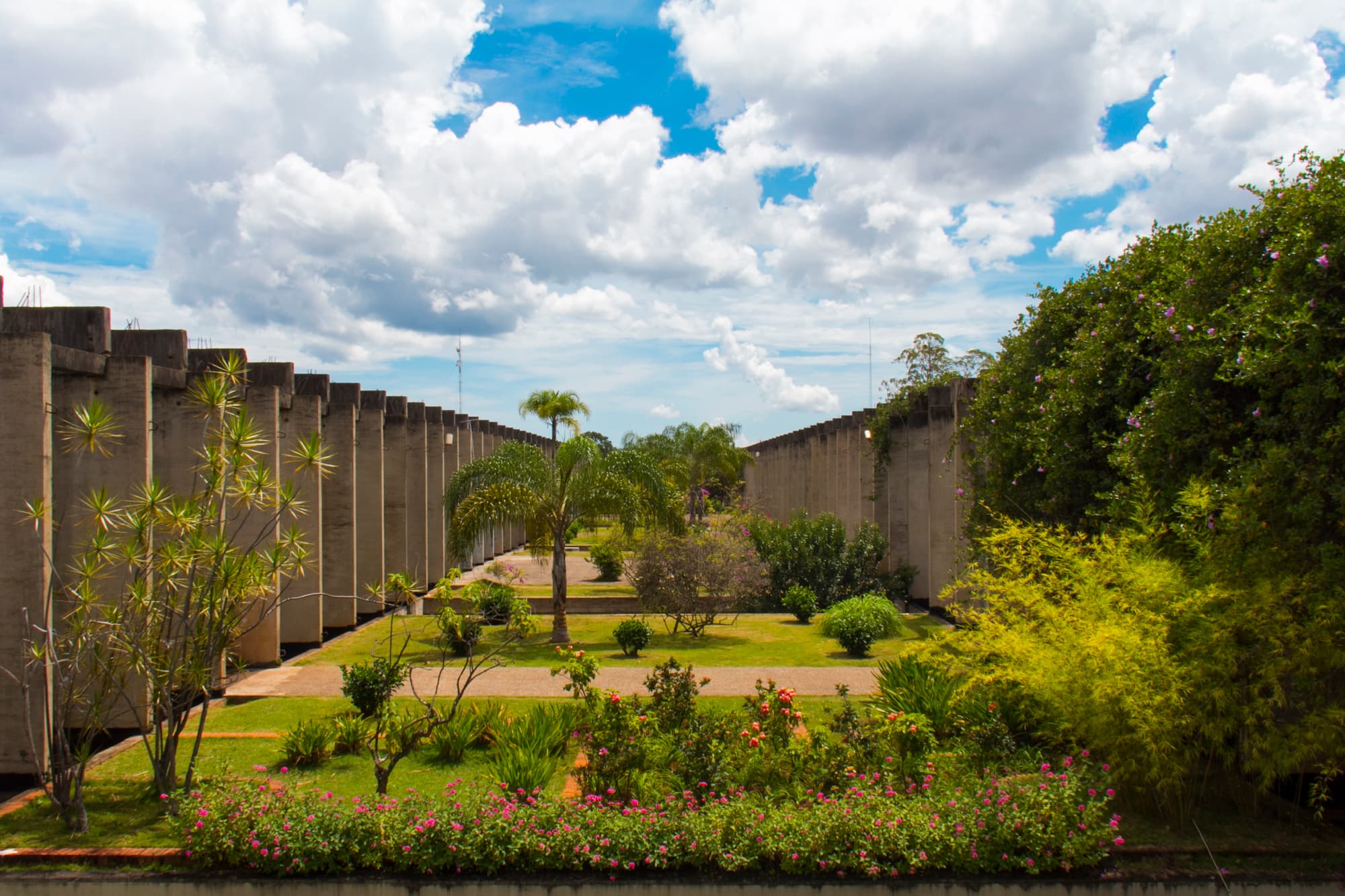 University of Brasília