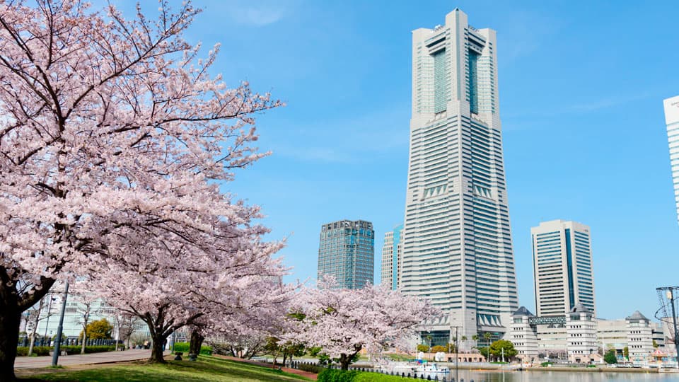 Yokohama City University